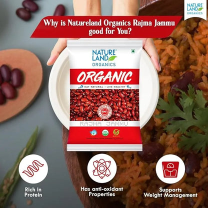 Organics Rajma - Organic Healthy Rajma