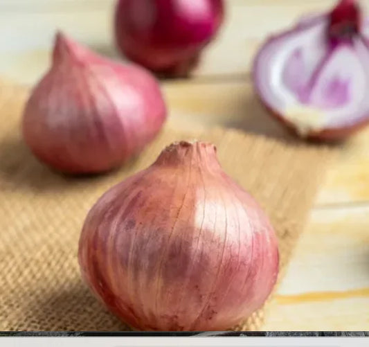 Organic Onion 1 KG
