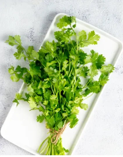 Coriander leaves Share.svg Net Qty: 1 pack (100 g)