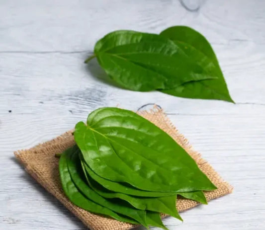 Betel Leaves (Paan) Share.svg Net Qty: 10 pcs