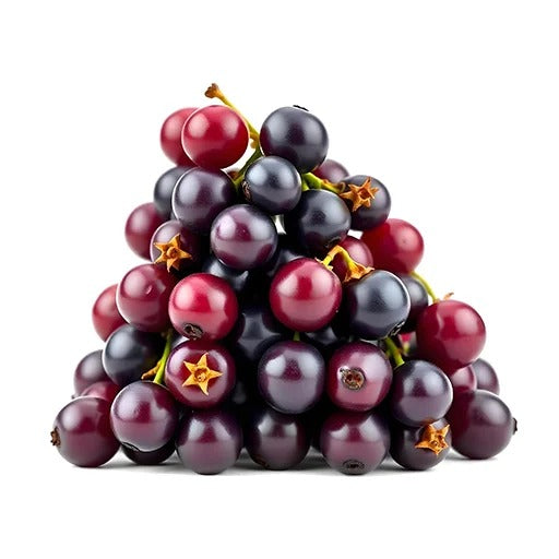 blackcurrant-berries