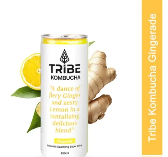 Tribe-Kombucha-Gingerade-Naturally-Sparkling-Probiotic-Super-Drink-Gut-Friendly-Sharesvg-Net-Qty-1-pc-250-ml